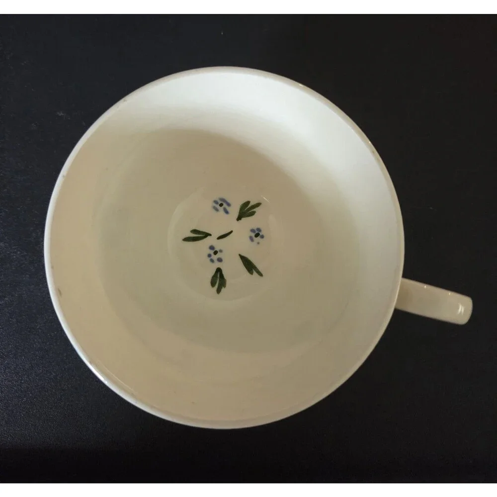Blue Ridge Hand Painted Floral Teacup & Saucer Set Wild Rose 1945-1957 VTG